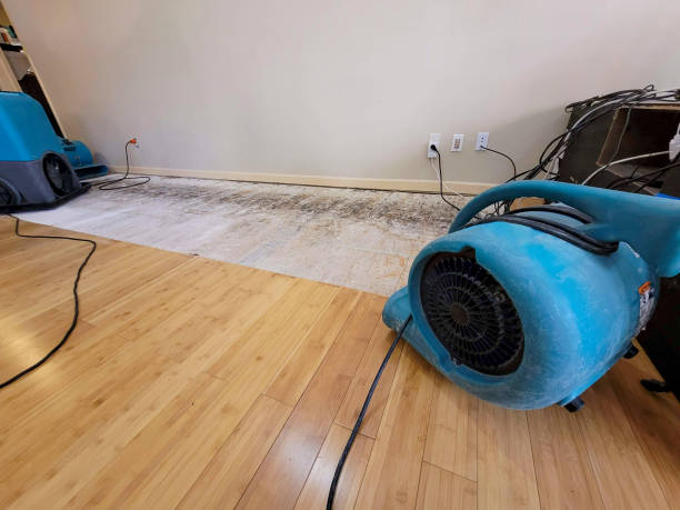 Professional Flood Damage Cleanup technician working in Hurley, MS
